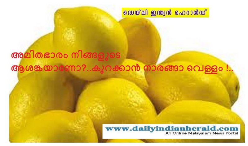 Lemon_dih_news