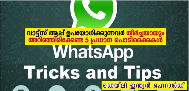 Whatsapp_-dih