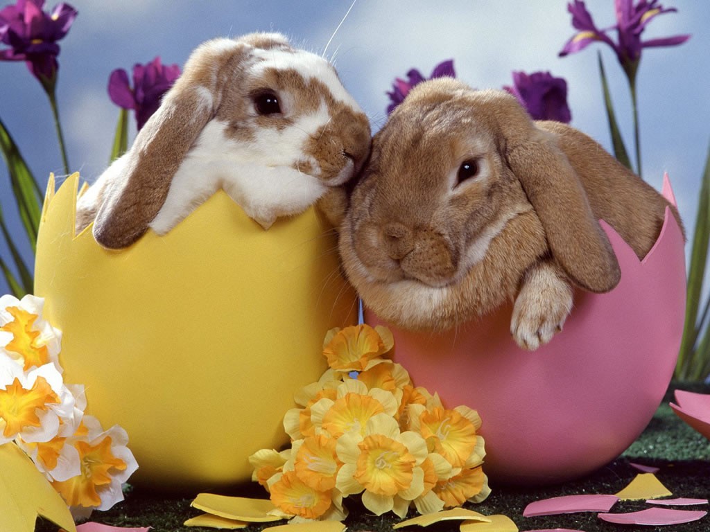 easter-1