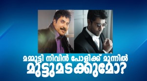 nivin poli