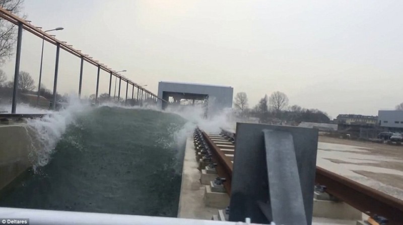 wave