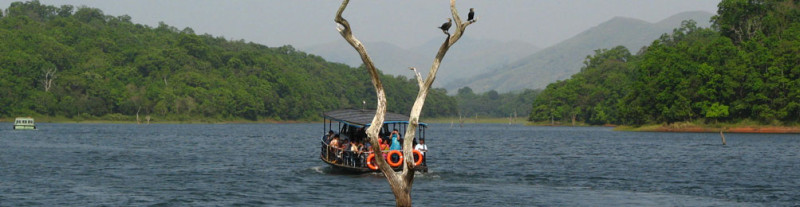 4 thekkady