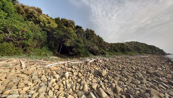 italai forest