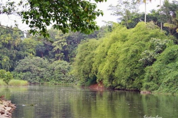 kulathupuzha meenutt