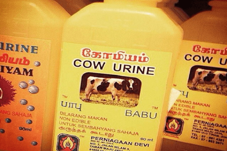 COW