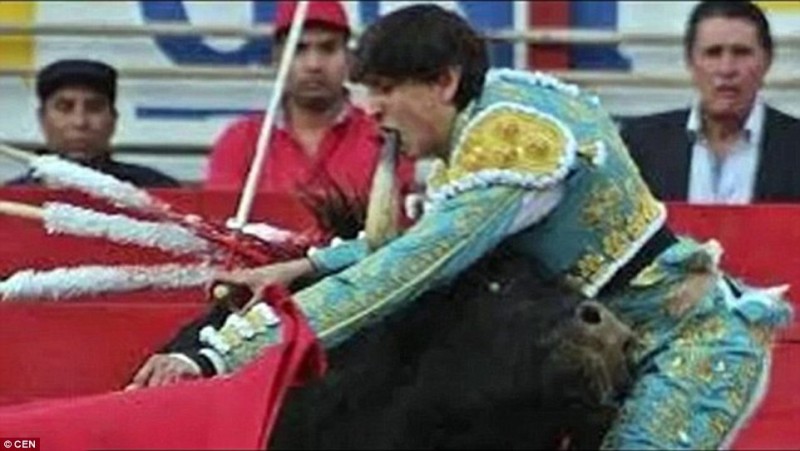 shoc4