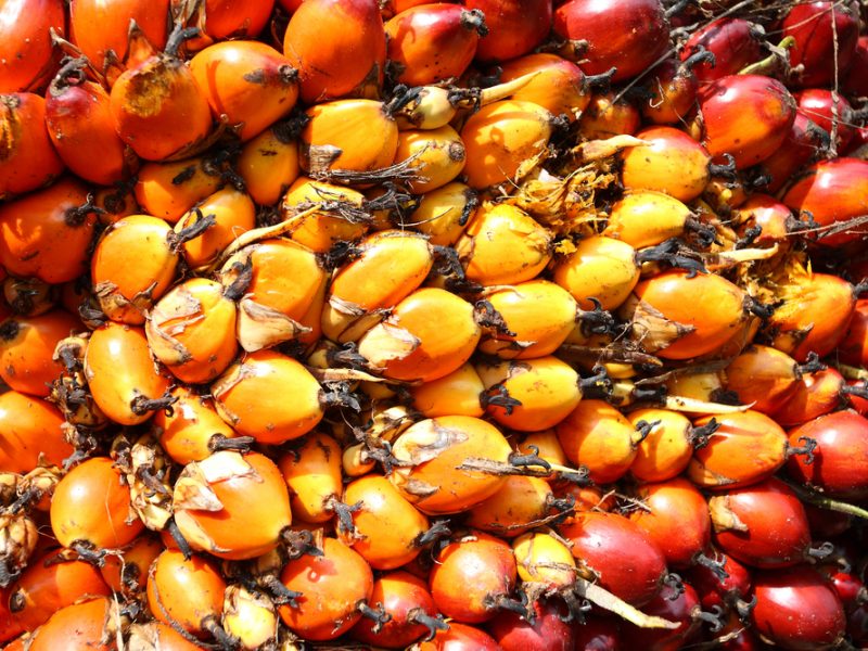 Palm-Oil-sunflower-oil