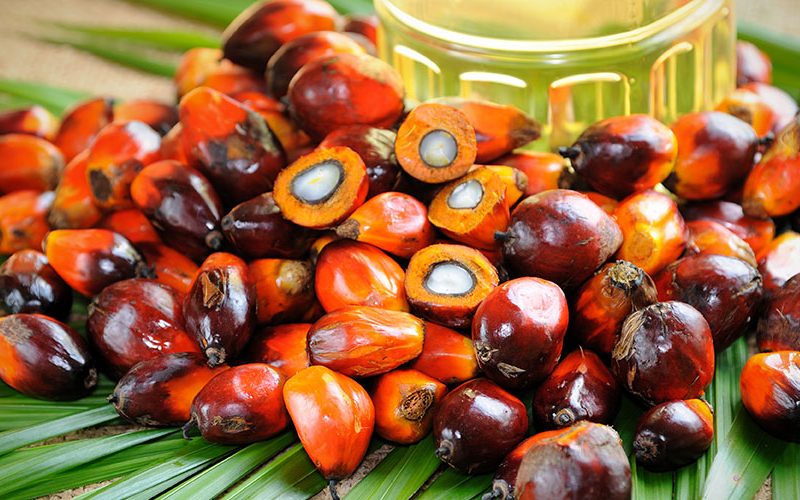 Palm-Olien