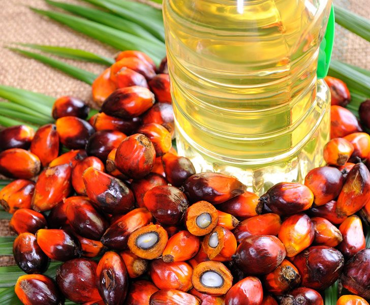 palm-oil-epa-ruling