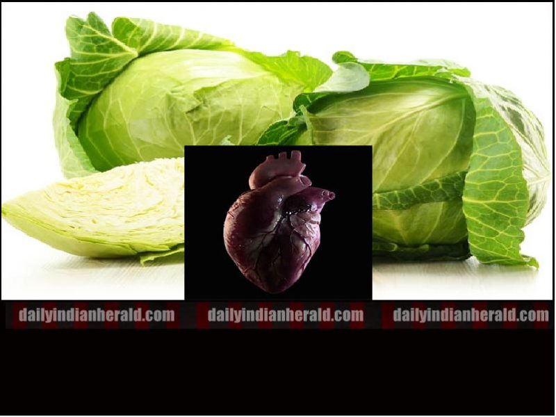 Cabeg -heart
