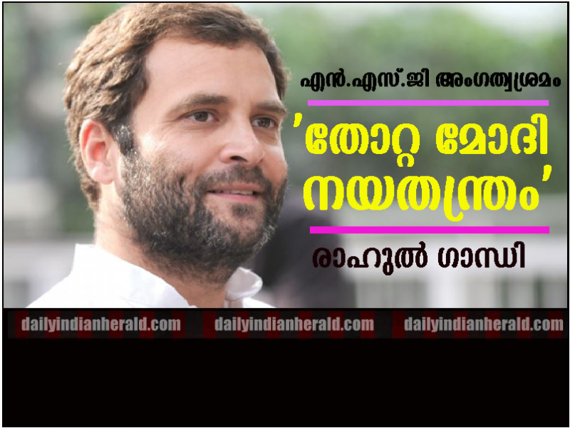 Rahul Gandhi nsge modi