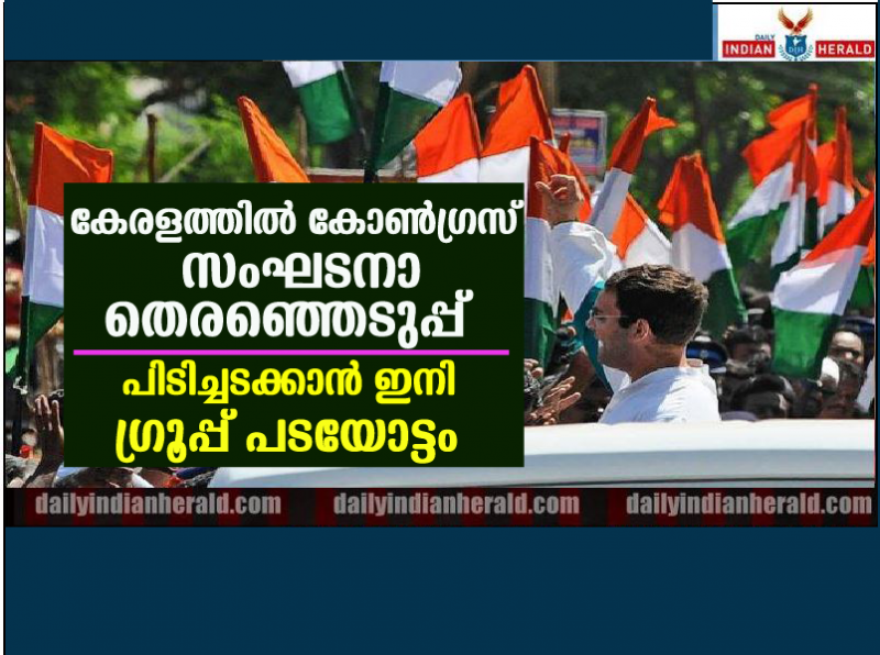 CONGRESS -ELECTION