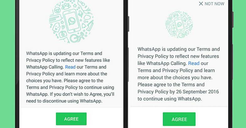 whatsapp-main