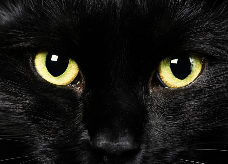 black-magic