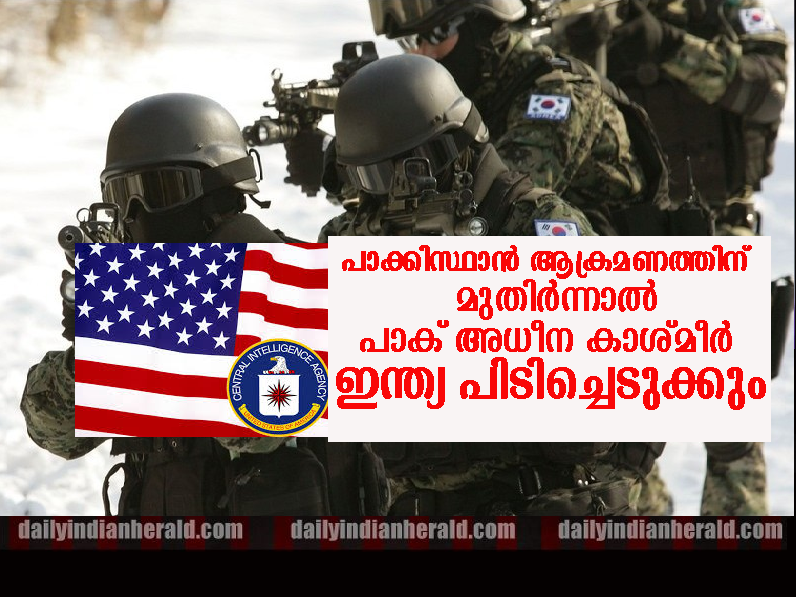 cia-india