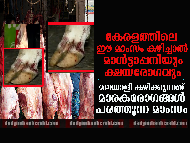 meat-kerala-report