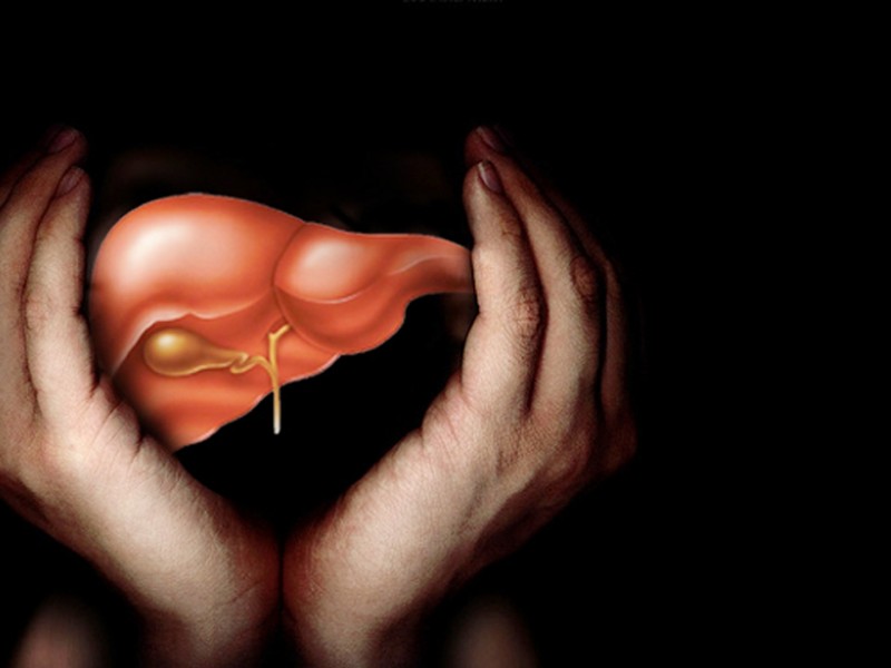 liver